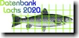 Lachs 2000 - Modul Besatz